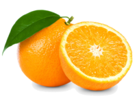 Πορτοκάλια img13