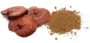 Γανόδερμα