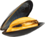 Μύδια