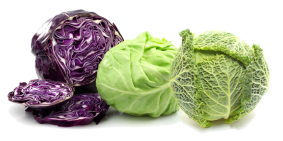 Cabbage