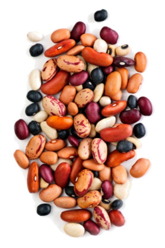 Beans