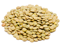 Lentils img34